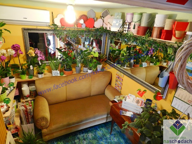 Opinii despre Kwiaciarnia na schodach în Ostrowiec Świętokrzyski - Kwiaciarnia