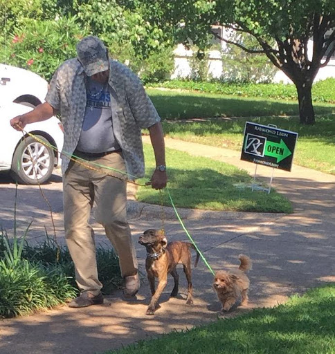 The Dallas Dog Trainer