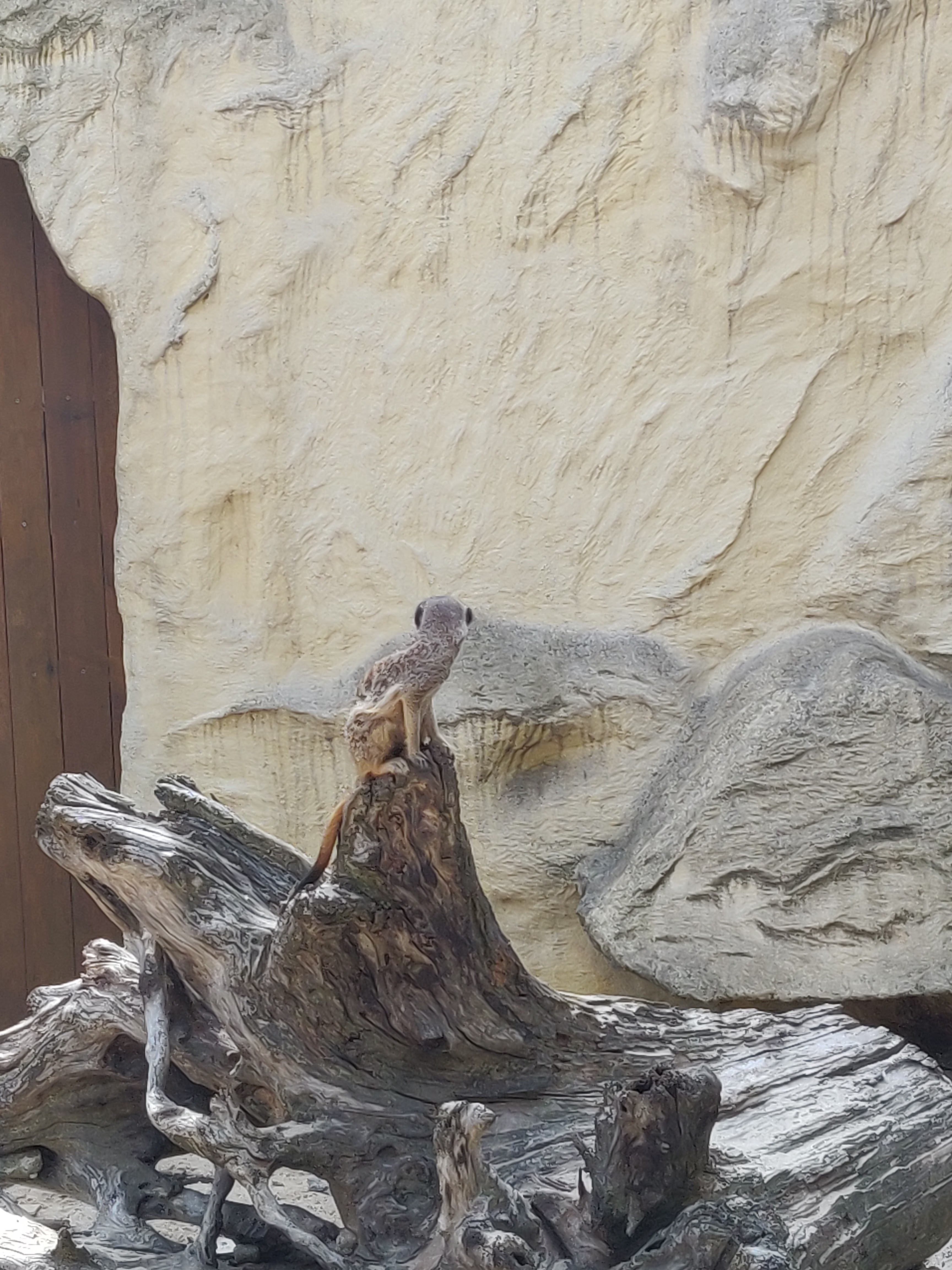 Photo n° 13 de l'avis de Amélie.e fait le 31/08/2019 à 17:39