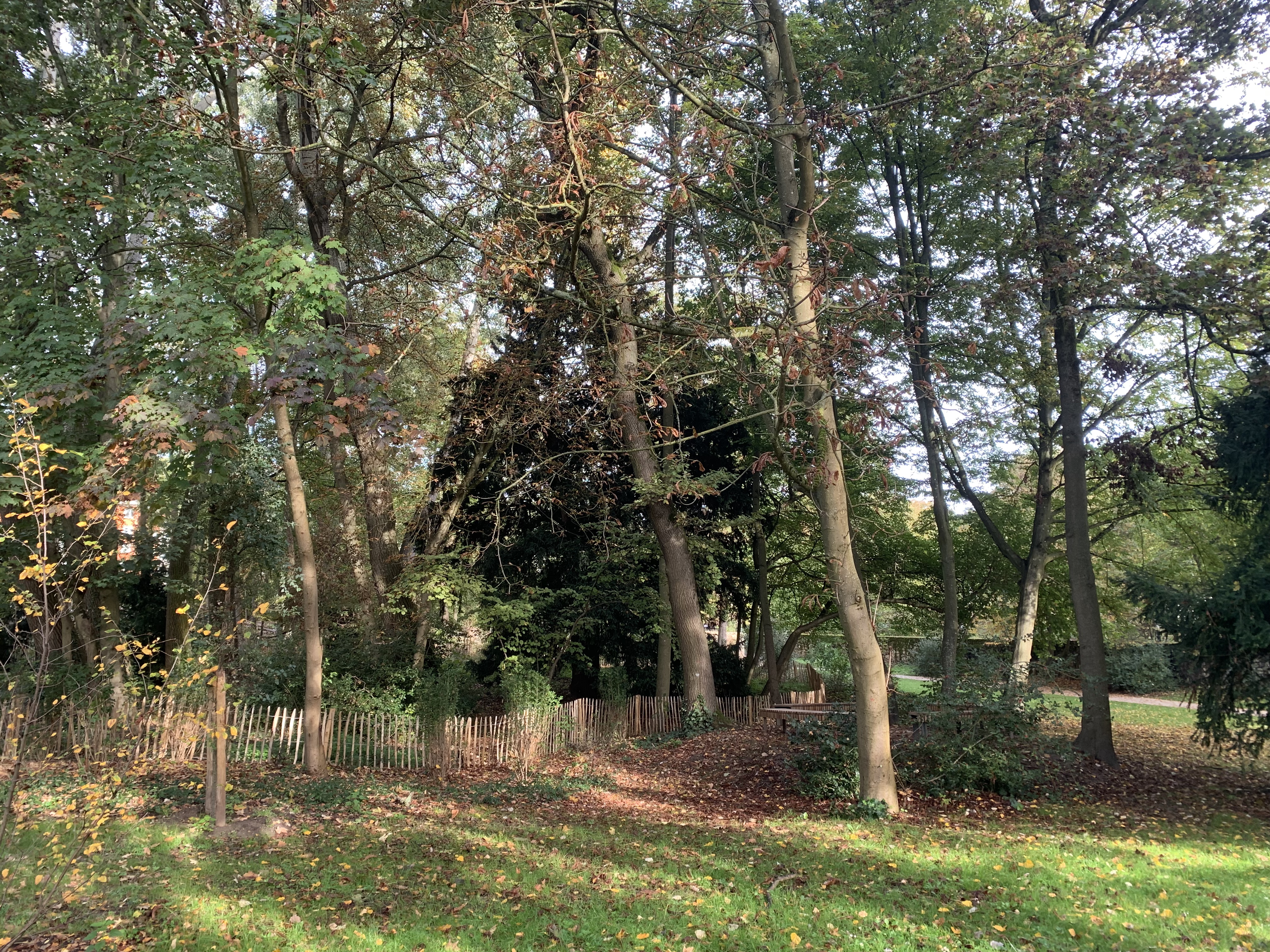 Photo n° 3 de l'avis de Arnaud.o fait le 23/10/2022 à 14:08