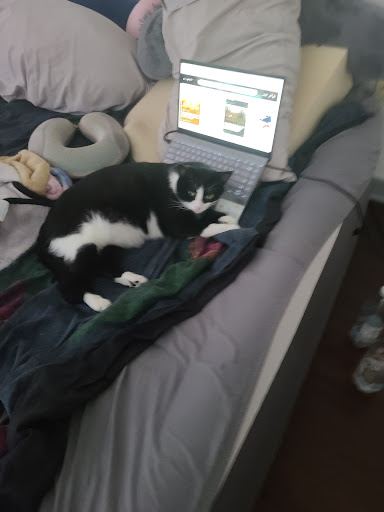 Pet Supply Store «PetSmart», reviews and photos, 4550 W Lake Mary Blvd, Lake Mary, FL 32746, USA