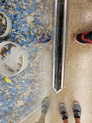 Pet Supply Store «Petco Animal Supplies», reviews and photos, 2358 S Range Ave, Denham Springs, LA 70726, USA