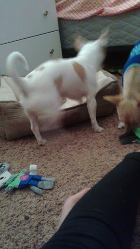 Auto Parts Store «Advance Auto Parts», reviews and photos, 3612 W Broad St, Columbus, OH 43228, USA