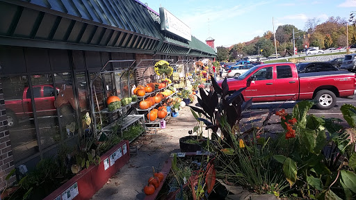 Pet Supply Store «Pickering Valley Feed & Farm Store», reviews and photos, 305 Gordon Dr, Exton, PA 19341, USA