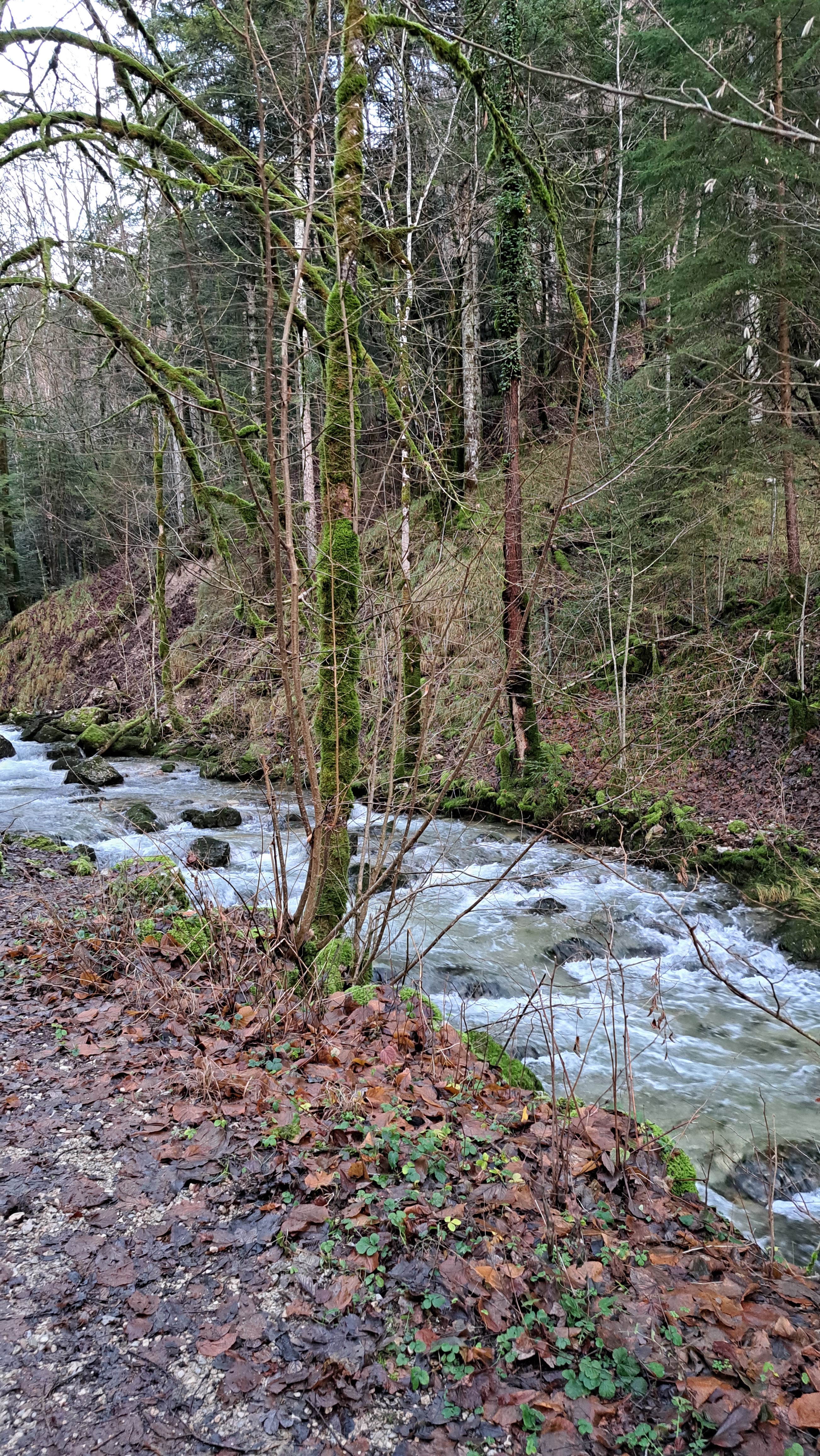 Photo n° 14 de l'avis de Jeremy.i fait le 26/12/2023 à 19:46