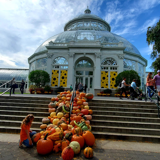 Gift Shop «NYBG Shop», reviews and photos, 2900 Southern Blvd, Bronx, NY 10458, USA