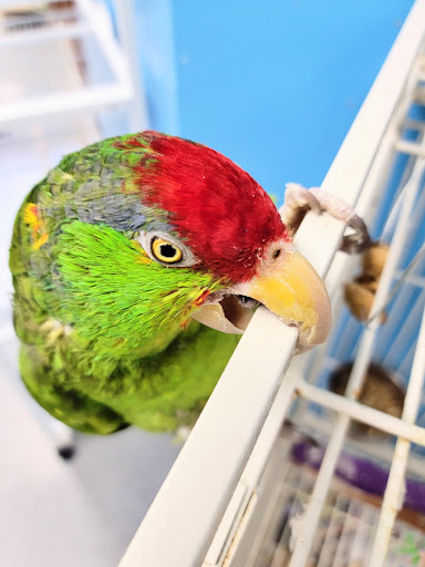 Pet Store «Pets & Such», reviews and photos, 3680 3500 S, West Valley City, UT 84120, USA