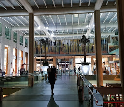 Paseo Arcos Bosques photo