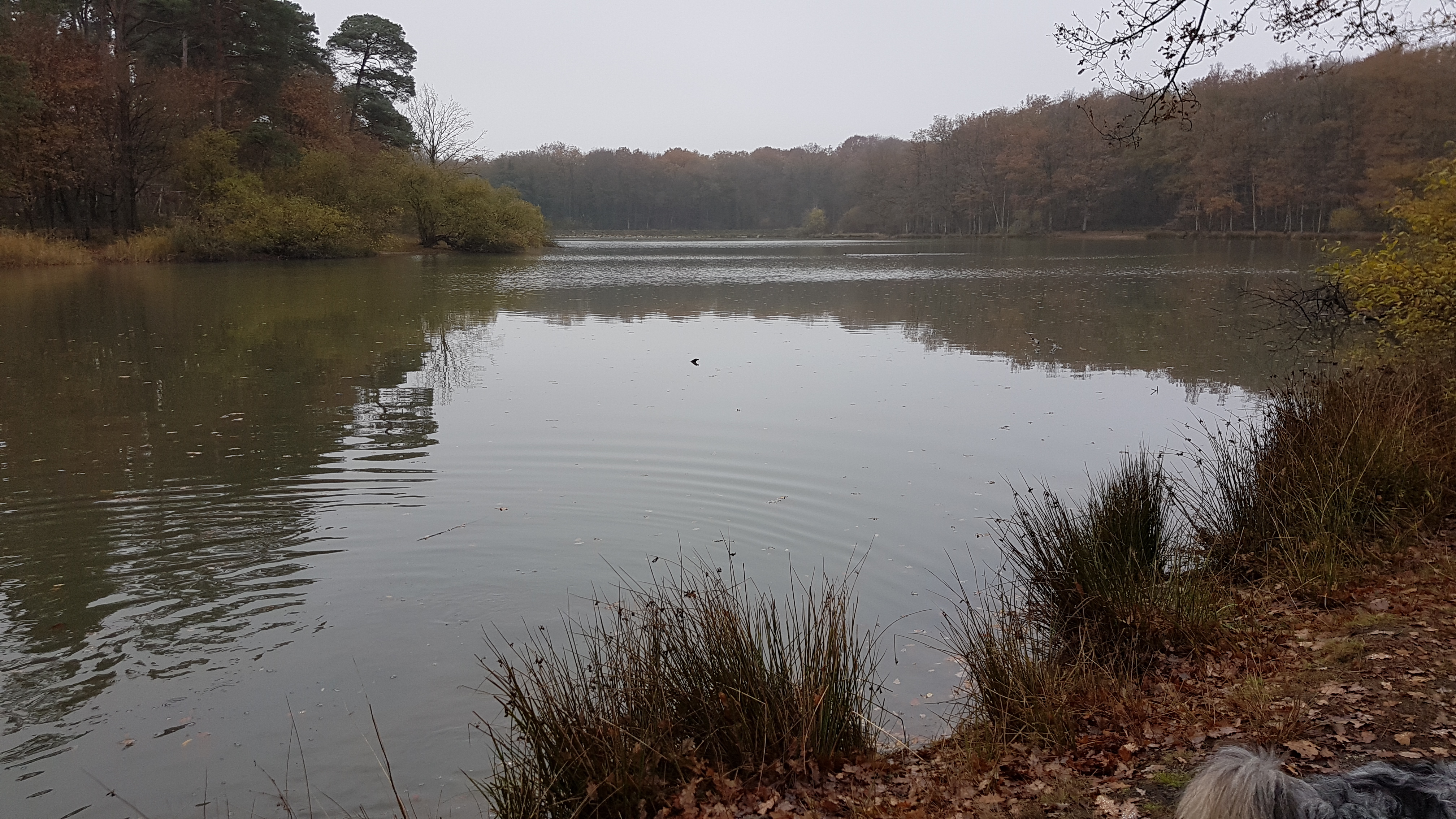 Photo n° 1 de l'avis de Elodie.h fait le 11/12/2018 à 15:15
