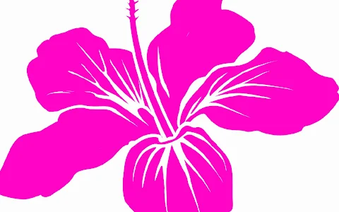 Hibiscus massage image