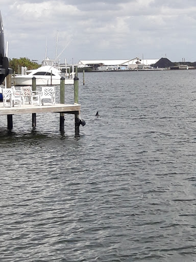 Nature Preserve «Apollo Beach Preserve», reviews and photos, 6760 Surfside Blvd, Apollo Beach, FL 33572, USA