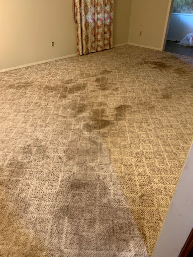 Carpet Cleaning Service «Able Janitorial & Carpet Services - Carpet Cleaning Longview, Tx», reviews and photos, 5734 TX-300 #15, Longview, TX 75604, USA