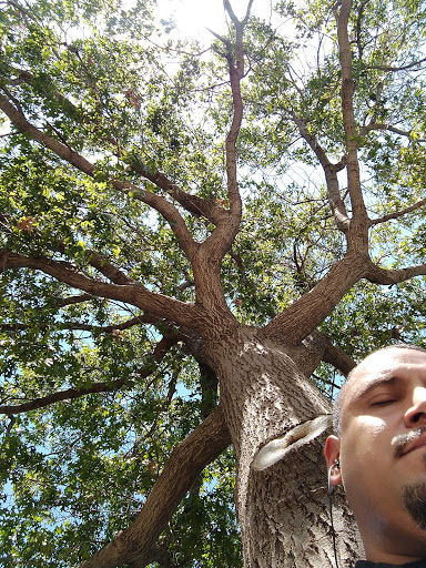 Park «W. J. Thomas Park», reviews and photos, 1955 Perry Rd, Carrollton, TX 75006, USA