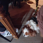 Photo n°8 de l'avis de Maria.. fait le 04/04/2022 à 16:52 sur le  Osteria Pappabona à Perugia