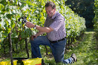 Domaine BOHR - Vins Fins & Crémants D'Alsace Berstett