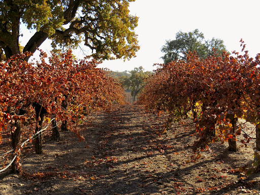 Sculpterra Winery and Sculpture Garden image