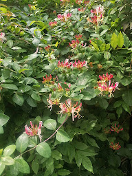 Photo n°49 de Côté Jardin à Longny les Villages ()