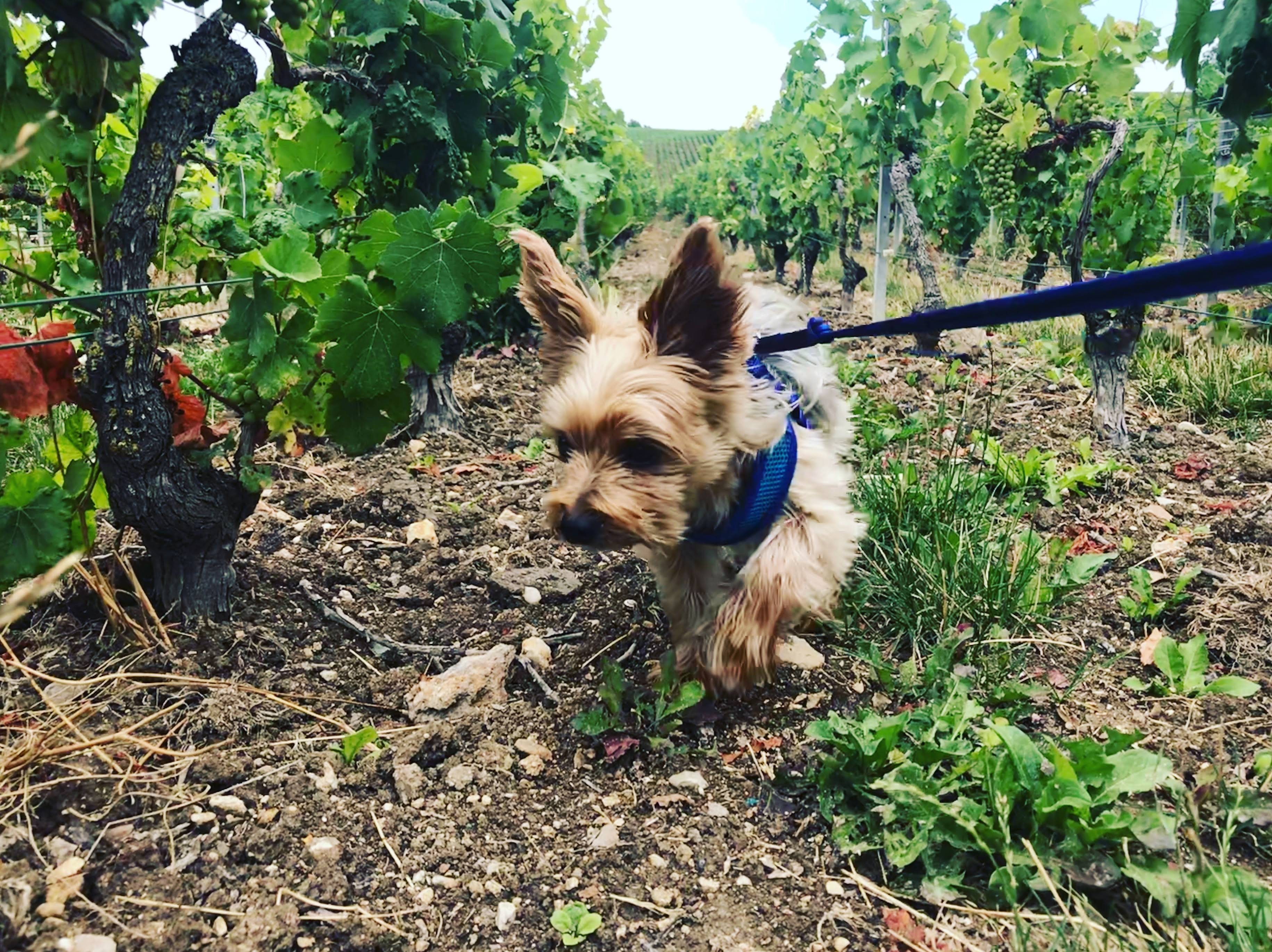 Photo n° 2 de l'avis de Daniel.a fait le 08/08/2018 à 07:23
