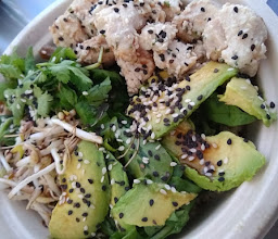 Molo Poke Spot photo