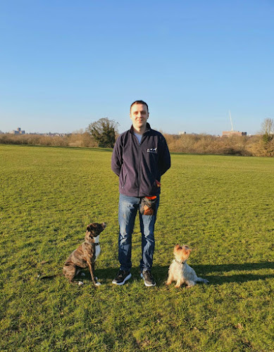 Hertfordshire Dog Services Ltd - Watford