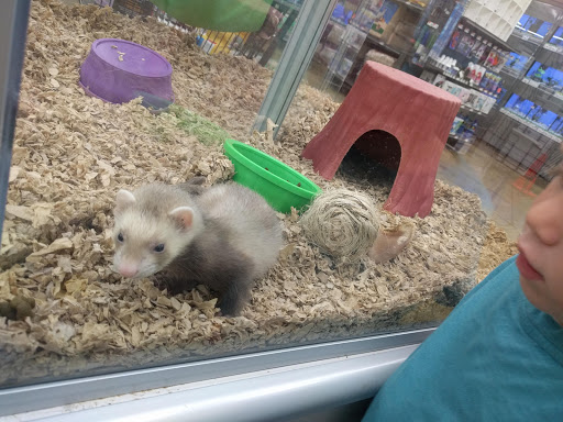 Pet Supply Store «Pet Supplies Plus», reviews and photos, 2801 Wade Hampton Blvd #100, Taylors, SC 29687, USA