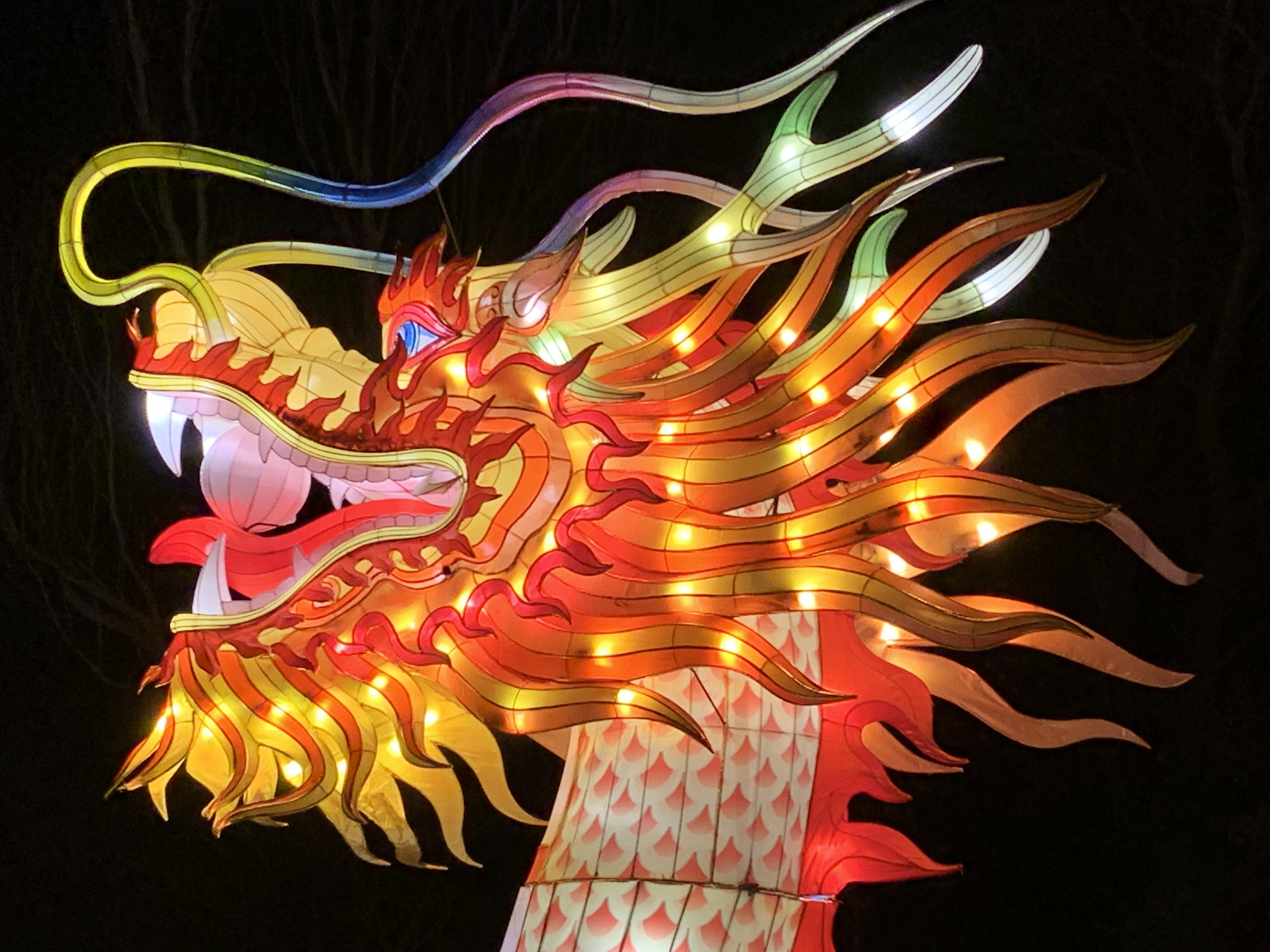 Photo n° 11 de l'avis de C.t fait le 08/01/2020 à 10:58