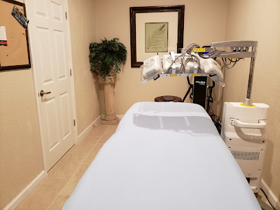 My Spine and Joint - Chiropractor in St. Petersburg Florida