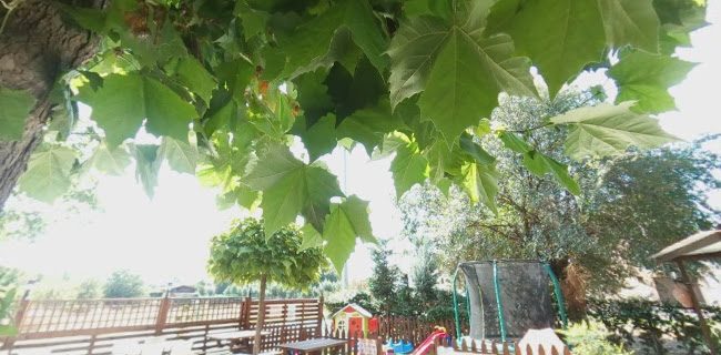 Έτσι Απλά - Εστιατόριο