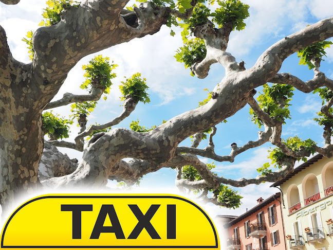 TAXI FABIO & ALTINA- Taxi Ascona- Locarno -Tenero
