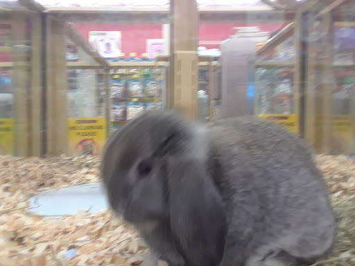 Pet Supply Store «Pet Supermarket, Inc.», reviews and photos, 598 N McCarran Blvd, Sparks, NV 89431, USA