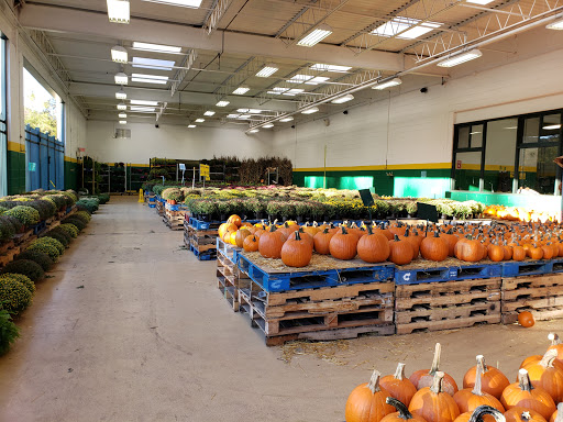 Produce Market «Produce Junction Inc», reviews and photos, 272 Pottstown Pike, Exton, PA 19341, USA