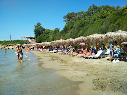 Photo de Skafidia beach et le règlement