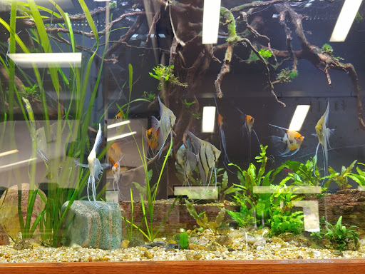 Pet Store «Wet Pets And Friends», reviews and photos, 3695 Washington Rd, Canonsburg, PA 15317, USA