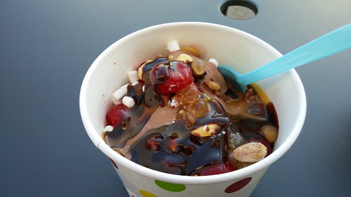 Frozen Yogurt Shop «The Pump House Frozen Yogurt Bar - Grand Rapids», reviews and photos, 2090 Celebration Dr NE #120, Grand Rapids, MI 49525, USA