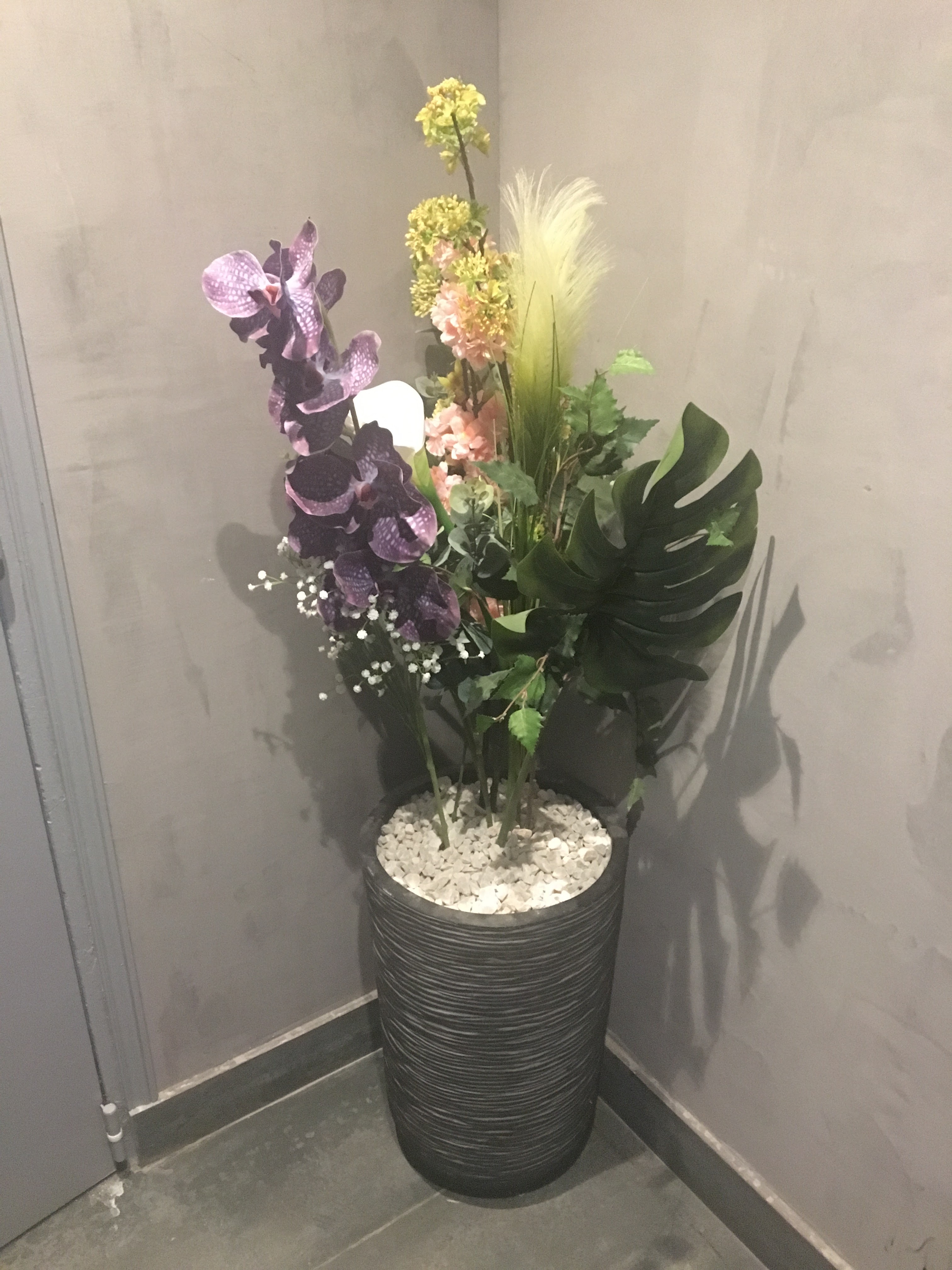Photo n° 1 de l'avis de Tatiana. fait le 16/01/2019 à 14:21