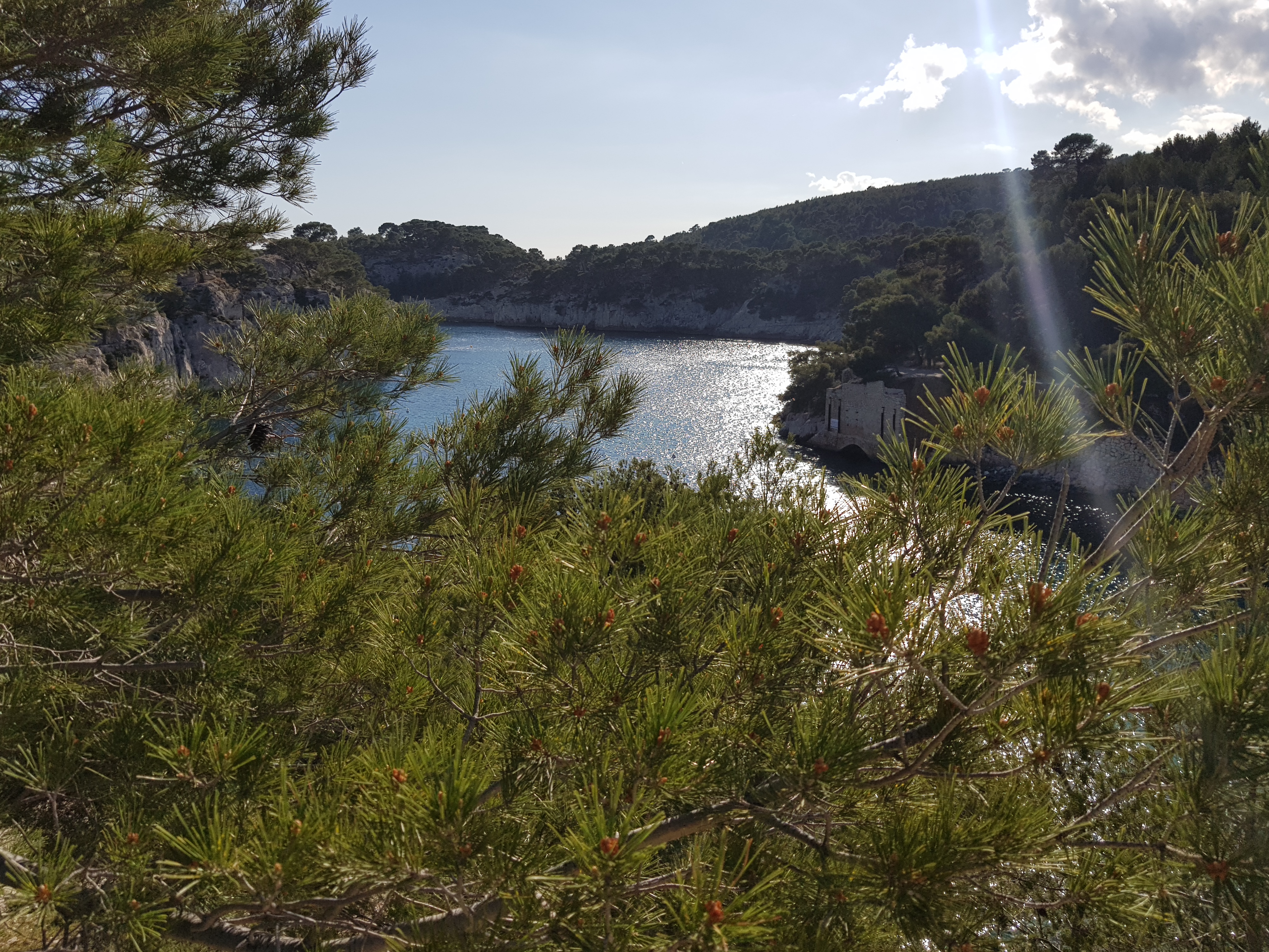 Photo n° 18 de l'avis de b.a fait le 29/03/2018 à 12:05
