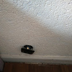 Photo n°15 de l'avis de Peggy. fait le 02/09/2019 à 19:09 sur le  Zimmer in Kaiserslautern à Kaiserslautern