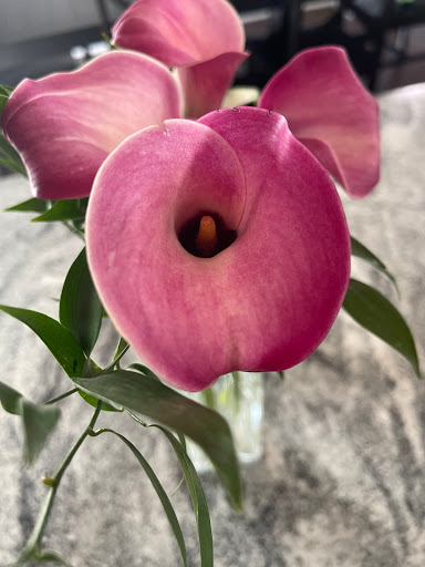 Florist «Bokay Florist», reviews and photos, 5890 N Keystone Ave, Indianapolis, IN 46220, USA