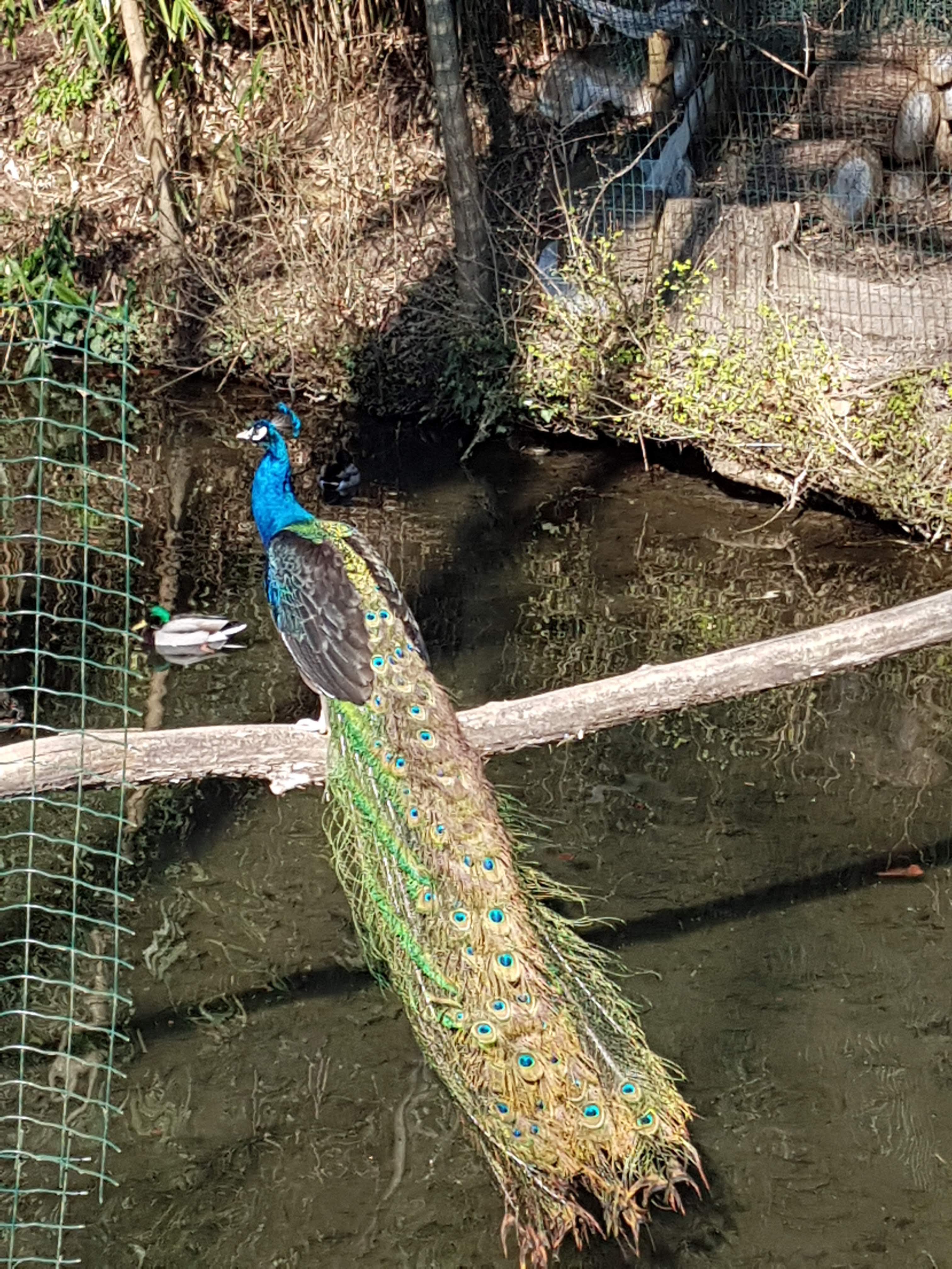 Photo n° 2 de l'avis de j.c. fait le 30/03/2019 à 19:26