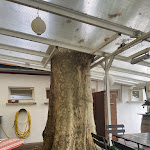 Photo n°1 de l'avis de G..l fait le 26/09/2021 à 16:28 sur le  Altes Fährhaus à Königswinter