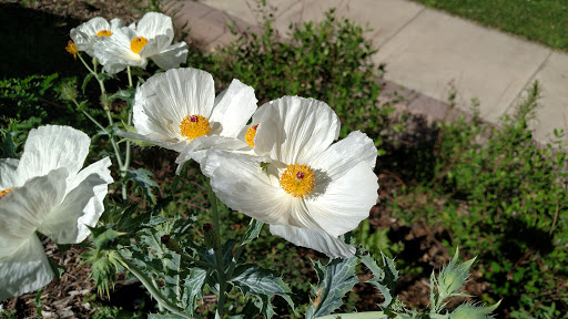 Park «Platt Park Recreation Center», reviews and photos, 1500 S Grant St, Denver, CO 80210, USA