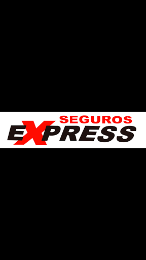 Auto Insurance Agency «Seguros Express Inc», reviews and photos