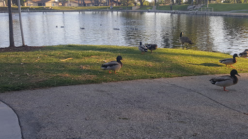 Park «Eisenhower Park», reviews and photos, 2864 N Tustin St, Orange, CA 92865, USA