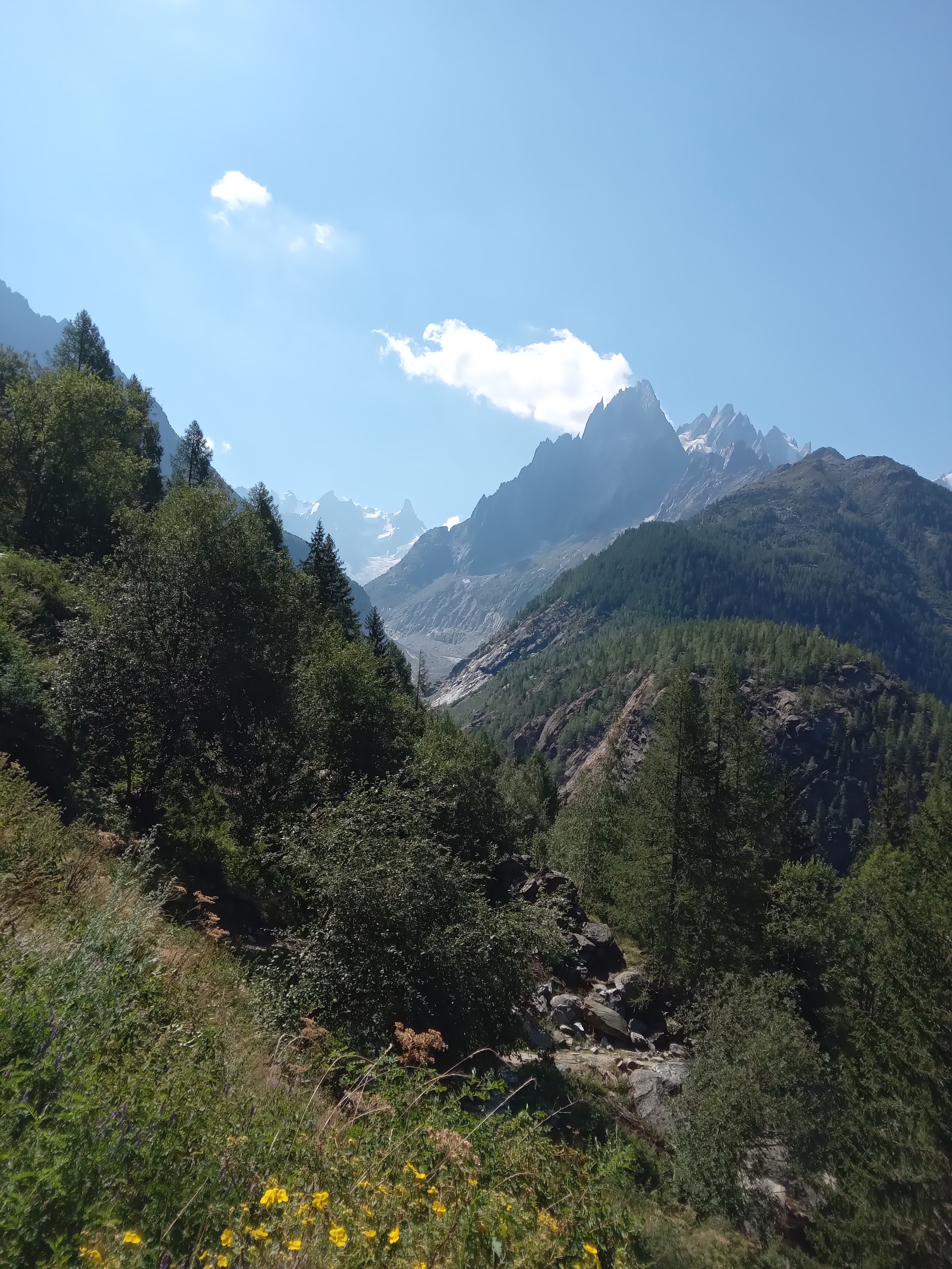 Photo n° 6 de l'avis de Jean.i fait le 10/08/2022 à 14:44
