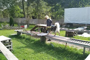 Naturhundegarten Allgäu image