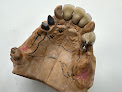 Laboratoire de prothèses dentaires Collignon Montauban