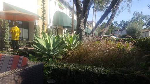 Starbucks image
