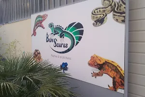 Bebesaurus image