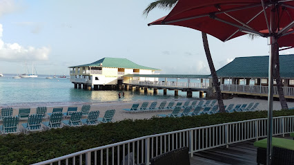 Aquatic Club - 39MR+35R, Aquatic Gap, Bridgetown, Barbados
