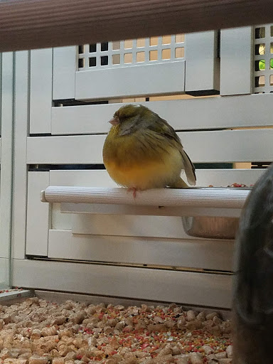 Pet Supply Store «PetSmart», reviews and photos, 1900 W International Speedway Blvd, Daytona Beach, FL 32114, USA